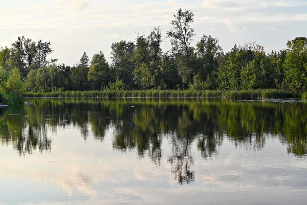 Фотография автора Бобкин Алексей