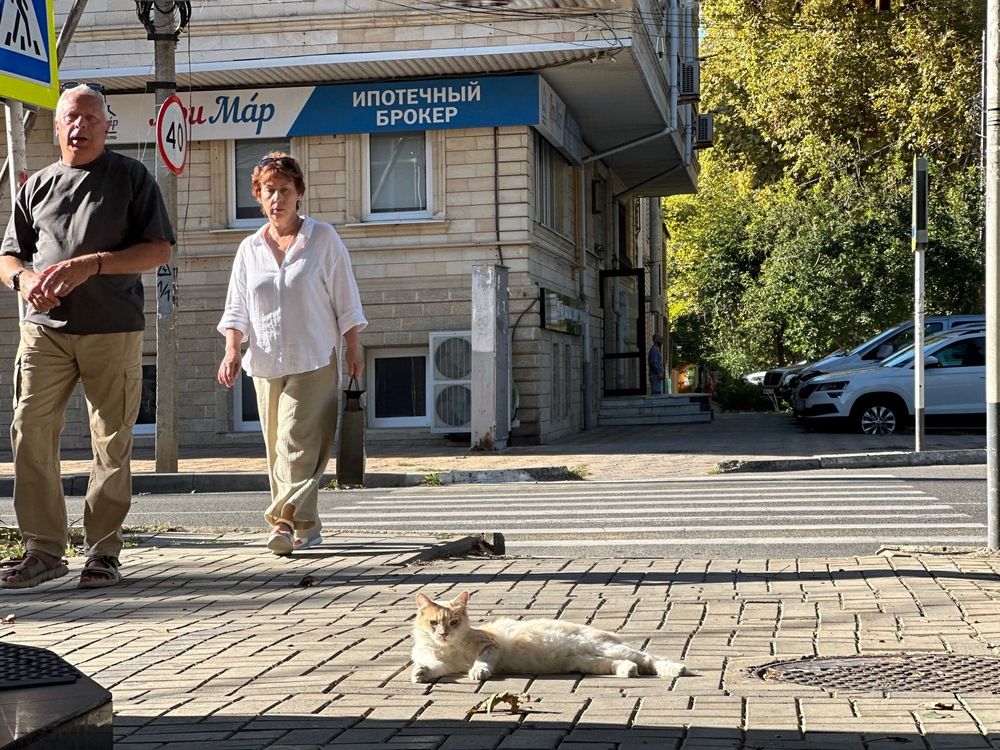 Photograph by Ksenia Sinitskaja