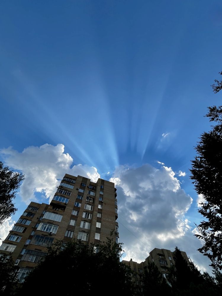 Photograph by Бравичева Анастасия