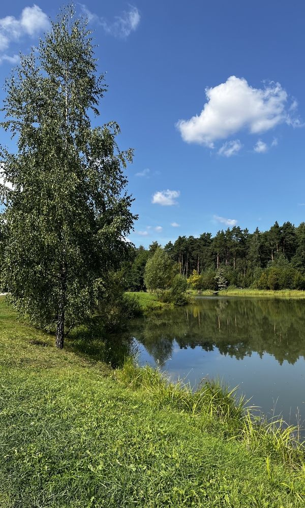 Photograph by Бравичева Анастасия