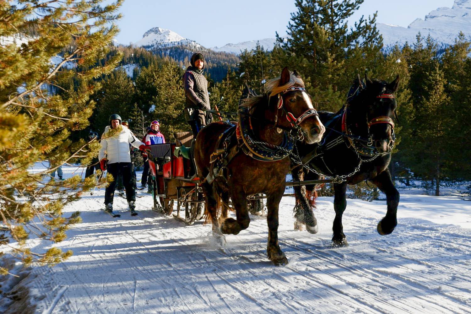 Фотография #13287408