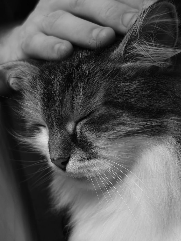 Photograph by наталья ионова