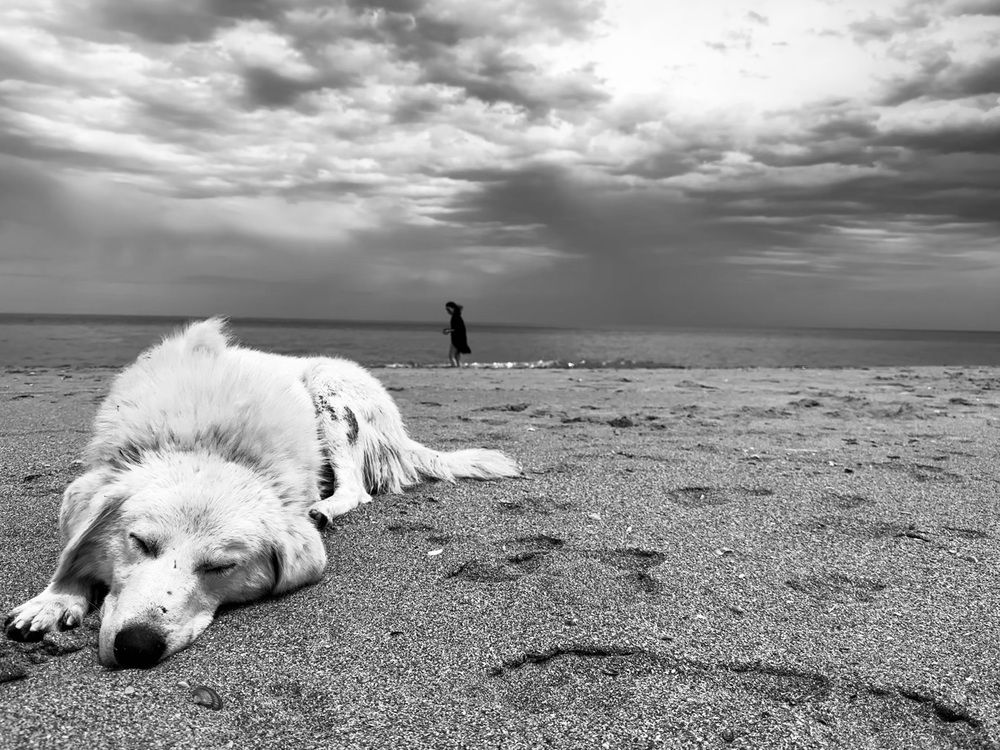 Photograph by наталья ионова