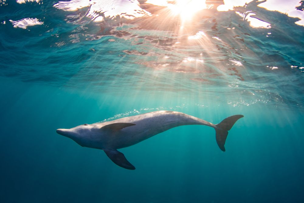 Photograph by Carlos Eduardo Barreto Pinheiro
