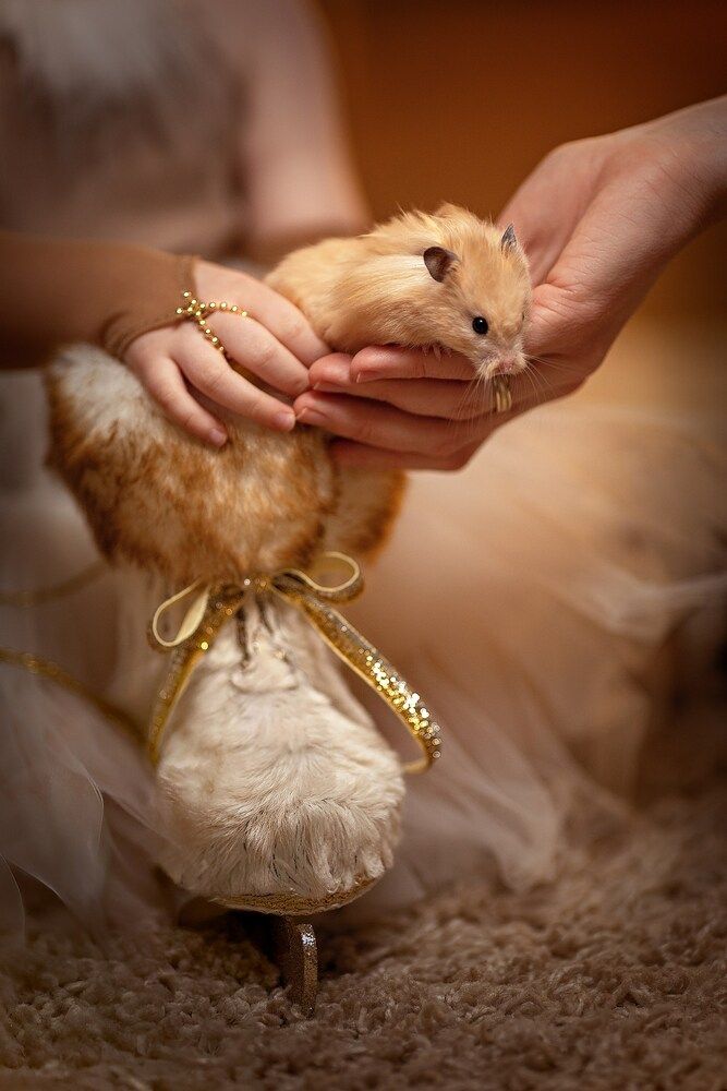 Photograph by Мила Смирнова