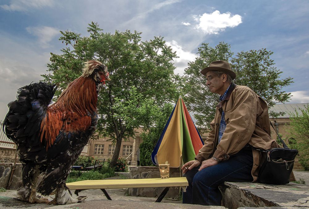 Фотография автора Ghadir Vaghari