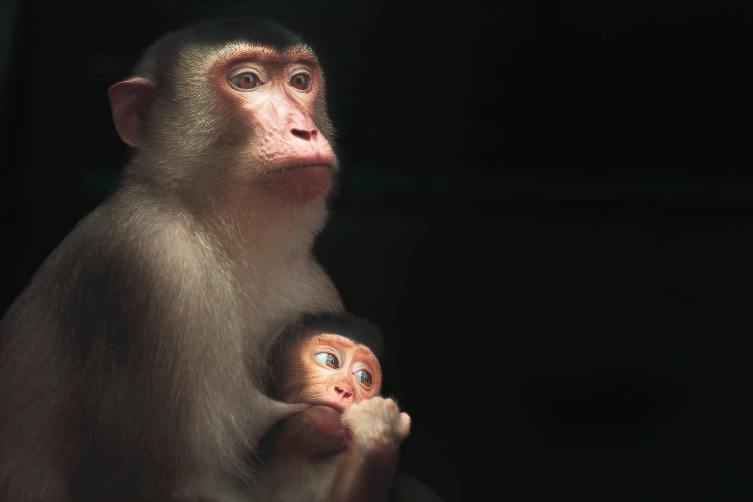 The ultimate love story of nature.