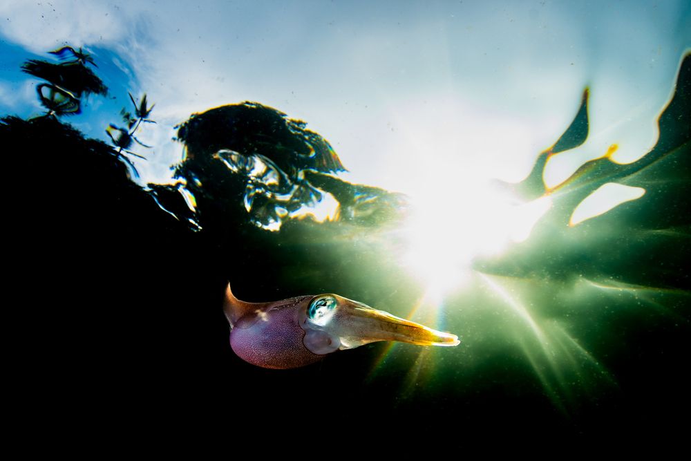 Photograph by Carlos Eduardo Barreto Pinheiro
