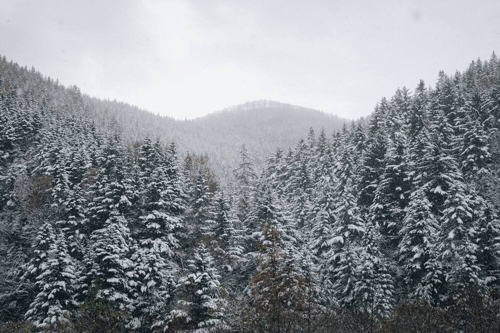 Photograph by Nick Kolosov