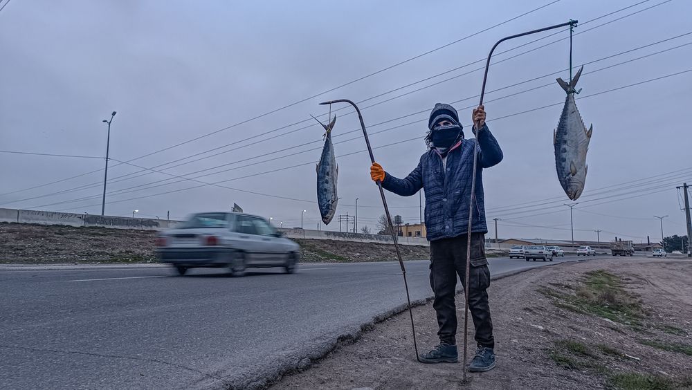 Фотография автора Ghadir Vaghari