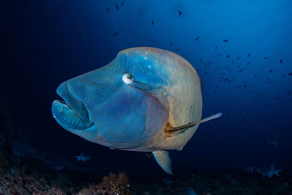 Photograph by Carlos Eduardo Barreto Pinheiro