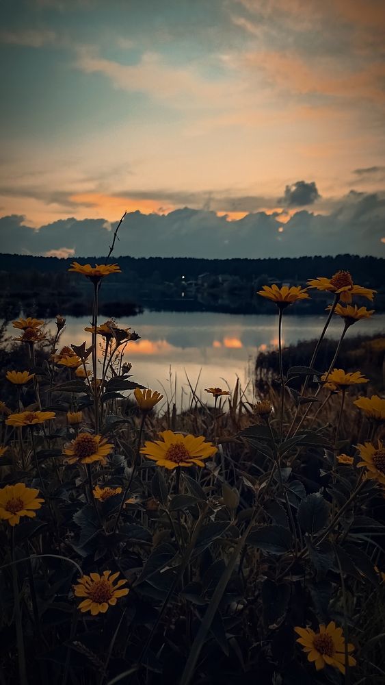 Photograph by Irina Prazdnikova