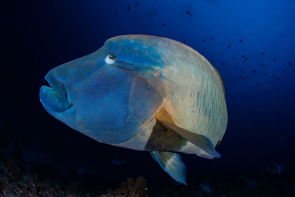 Photograph by Carlos Eduardo Barreto Pinheiro