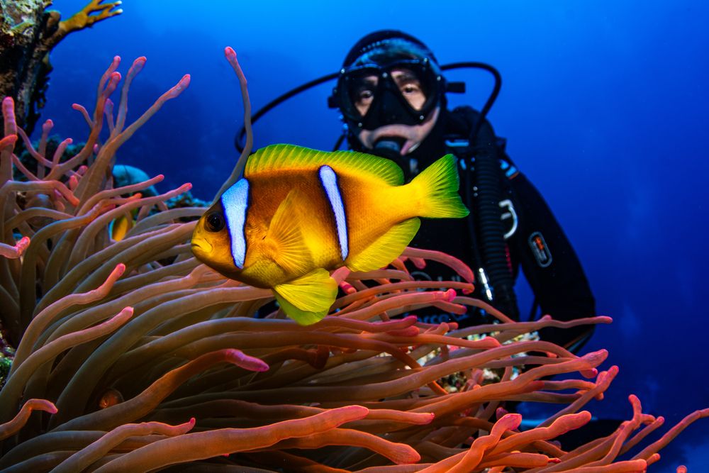 Photograph by Carlos Eduardo Barreto Pinheiro