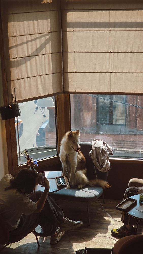 Photograph by Юлия Киш