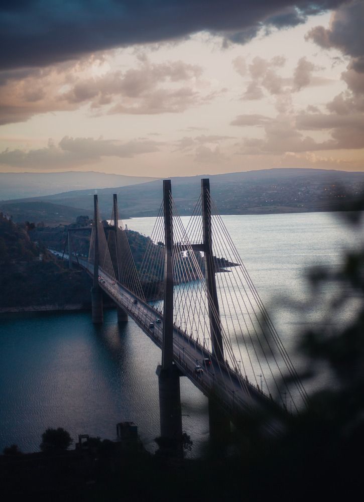 Фотография автора issam ammiche