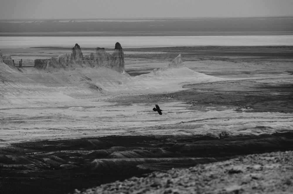 Photograph by Лексин Сергей