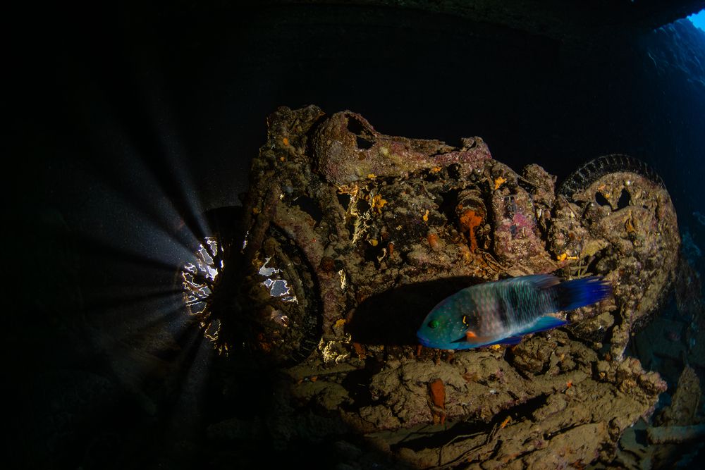 Photograph by Carlos Eduardo Barreto Pinheiro