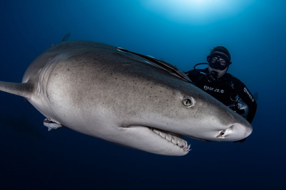 Photograph by Carlos Eduardo Barreto Pinheiro