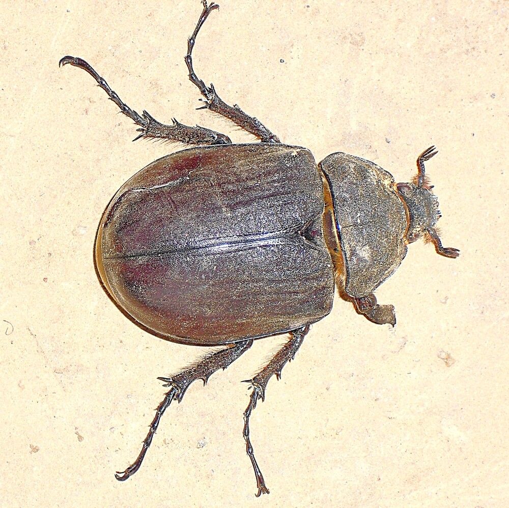 Photograph by Marzio Fattorini