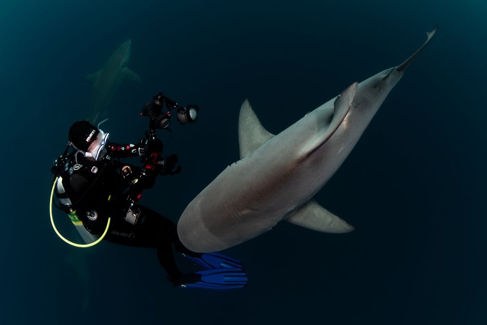 Photograph by Carlos Eduardo Barreto Pinheiro