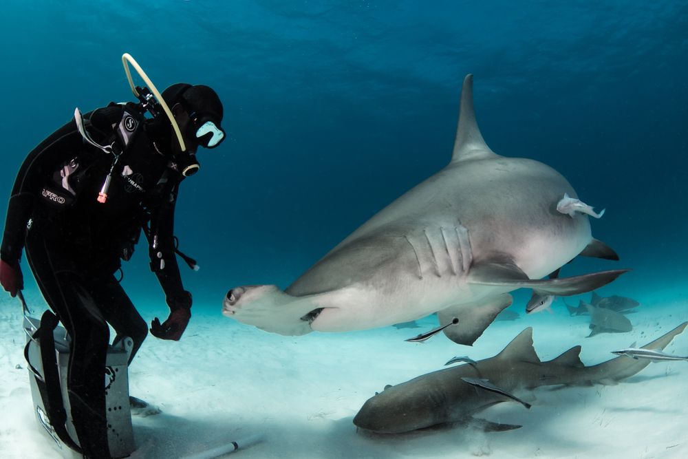 Photograph by Carlos Eduardo Barreto Pinheiro