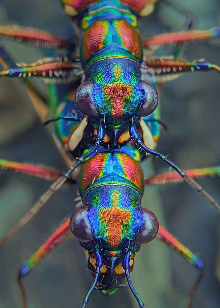 Photograph by QUYẾT TRỌNG NGUYỄN