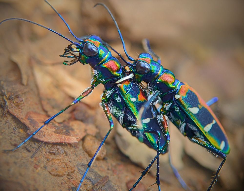 Photograph by QUYẾT TRỌNG NGUYỄN