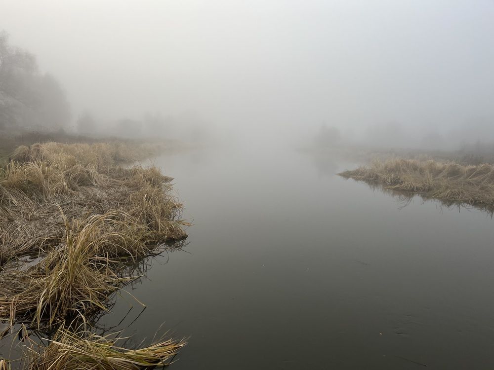 Photograph by Екатерина Сбитякова