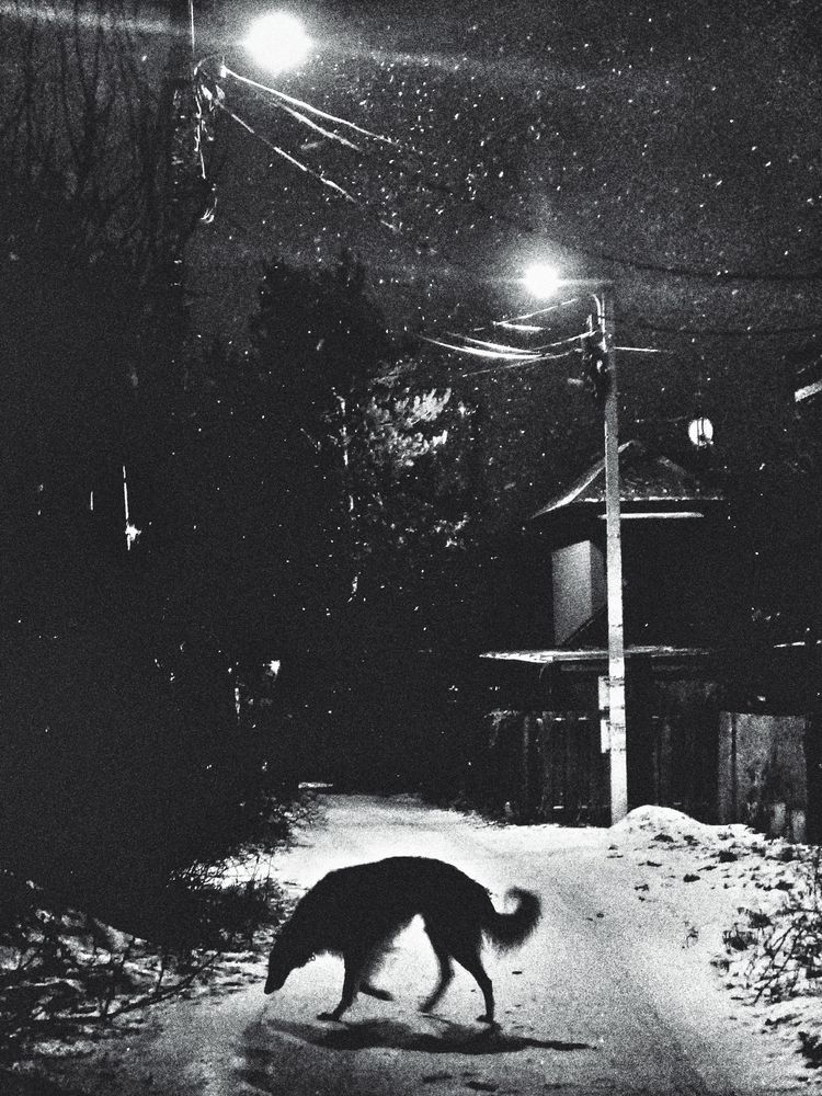 Photograph by Ольга Новикова