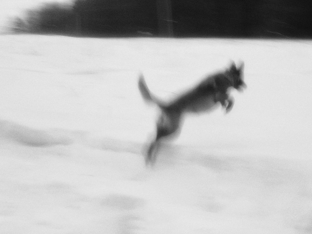 Photograph by Ольга Новикова