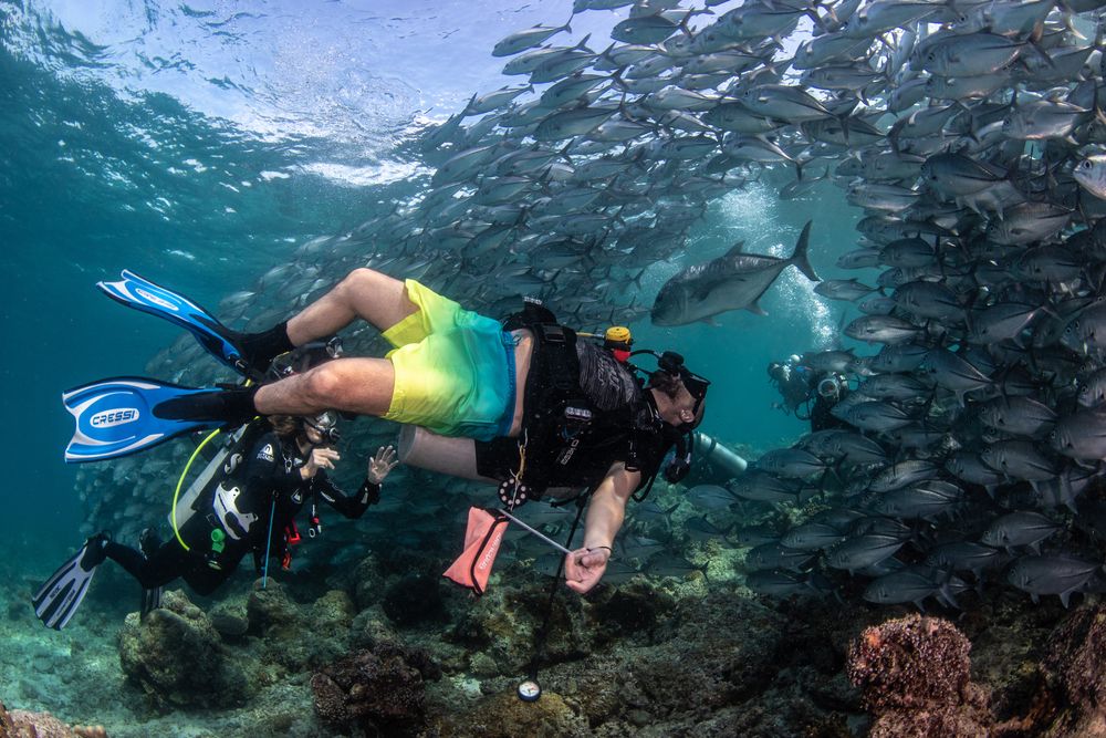 Photograph by Carlos Eduardo Barreto Pinheiro