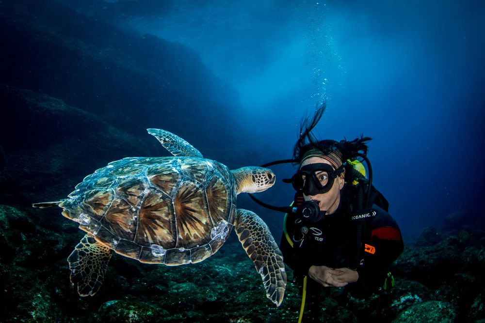 Photograph by Carlos Eduardo Barreto Pinheiro