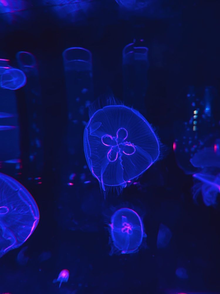 Photograph by Екатерина Сбитякова