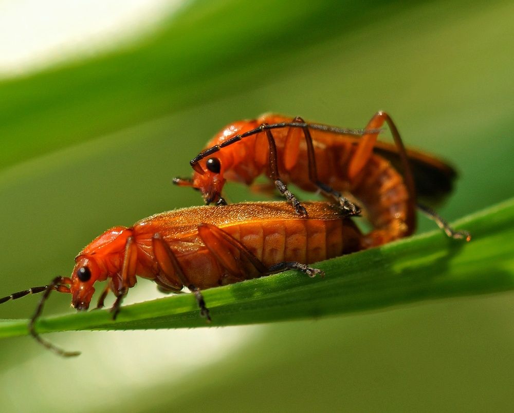 Photograph by Дмитрий Сорокин