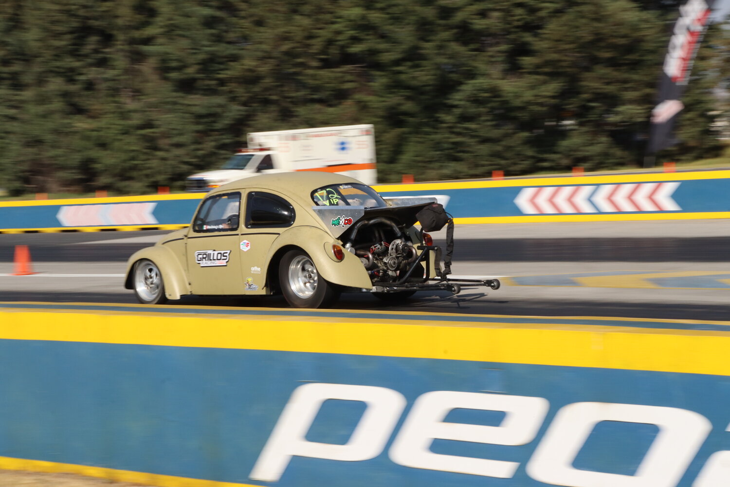 Photo #13288137