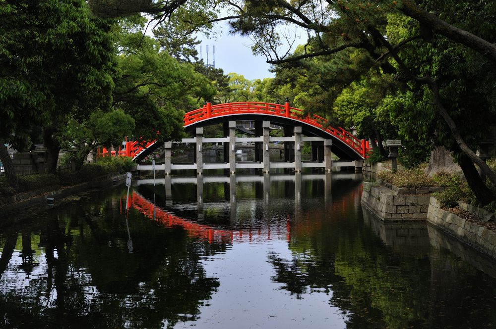 Photograph by Nonnie