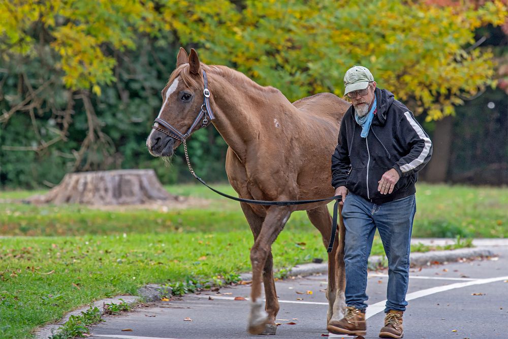 Photograph by Гришанов Пётр