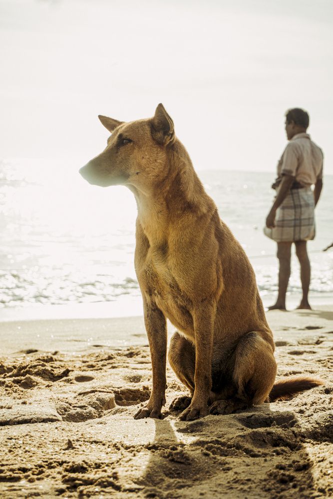 Photograph by Suthakaran Gokulananthan