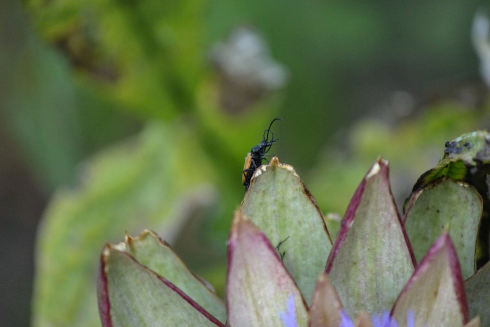 Photograph by Ирина Дмитриенко