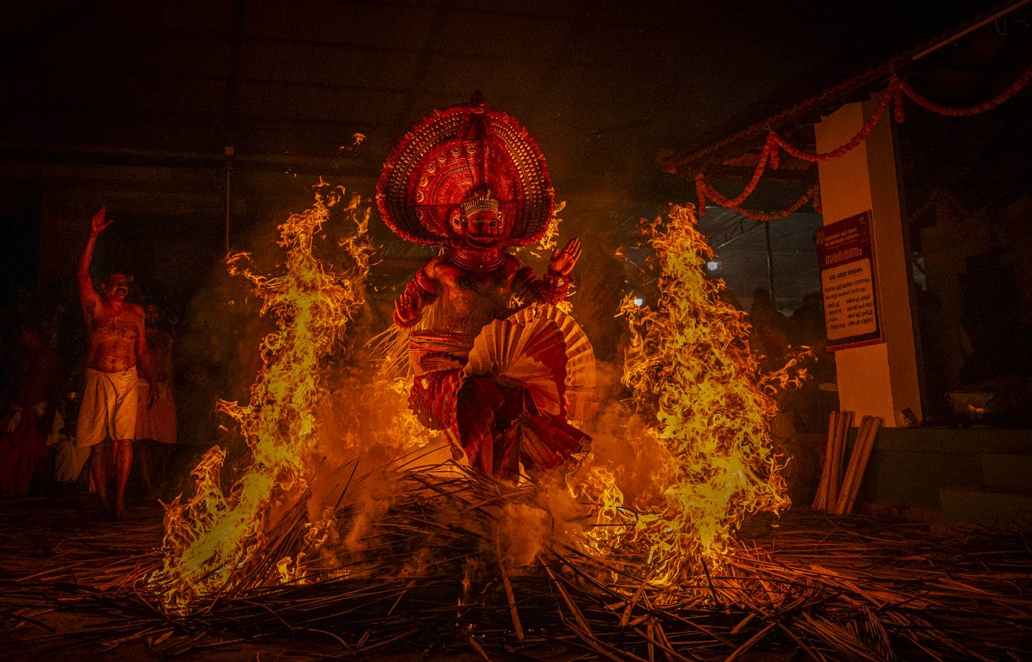 Фотография #13288223