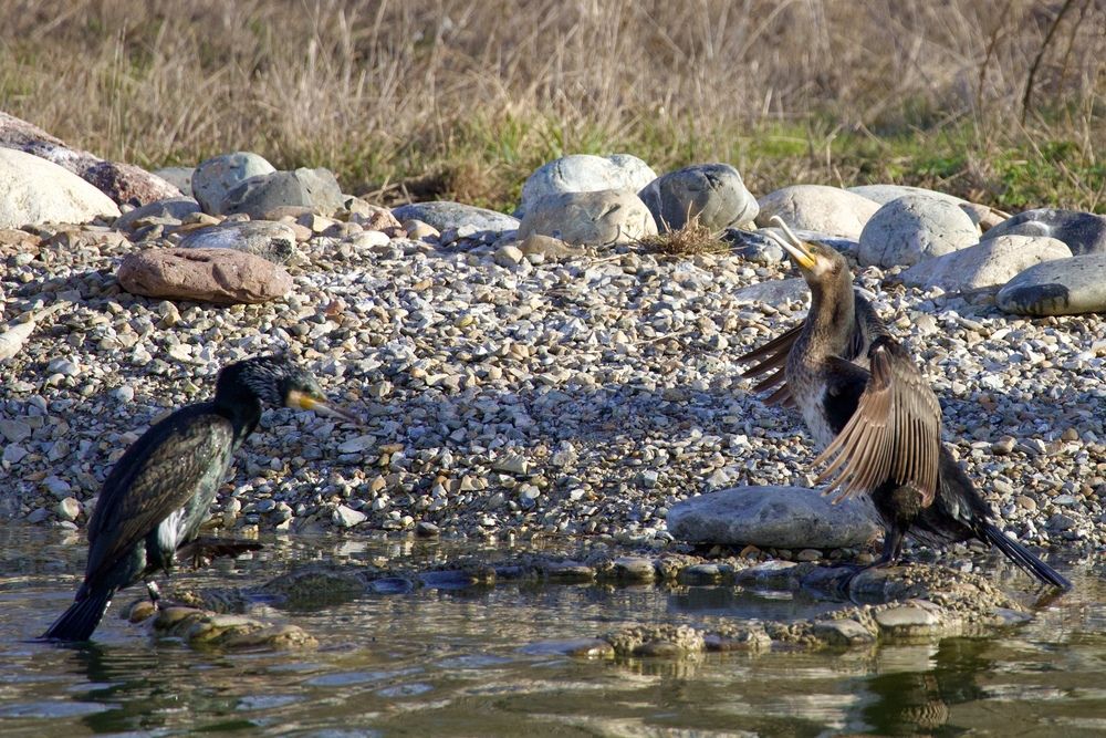 Photograph by Борис Захаров