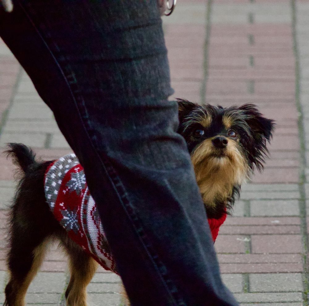 Photograph by Борис Захаров