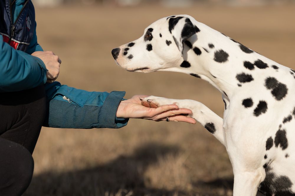 Photograph by Наталья Кирина