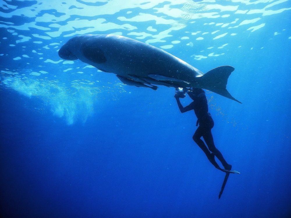 Фотография автора Elvira Oleinik