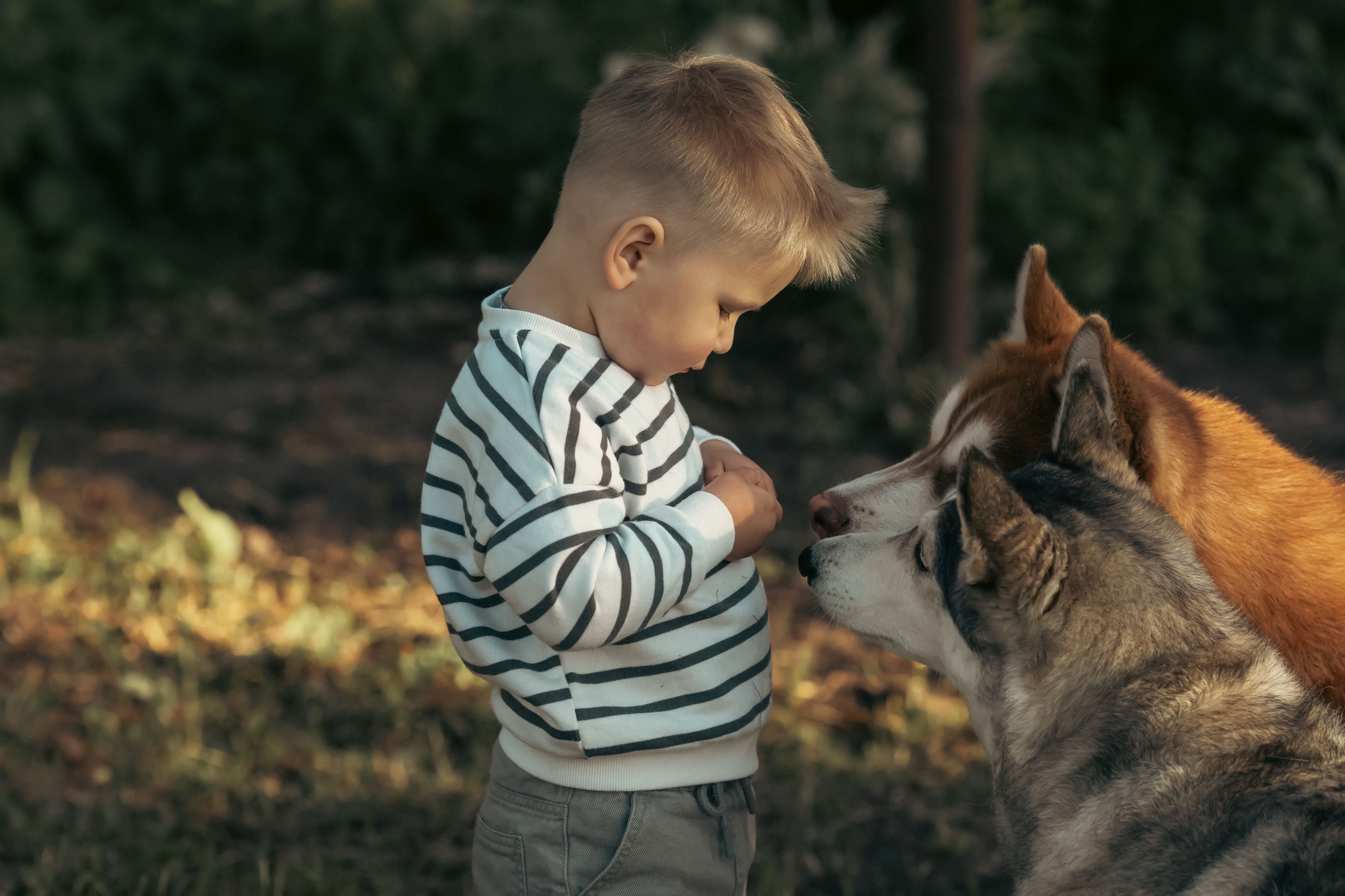 Photograph by Светлана Гущина