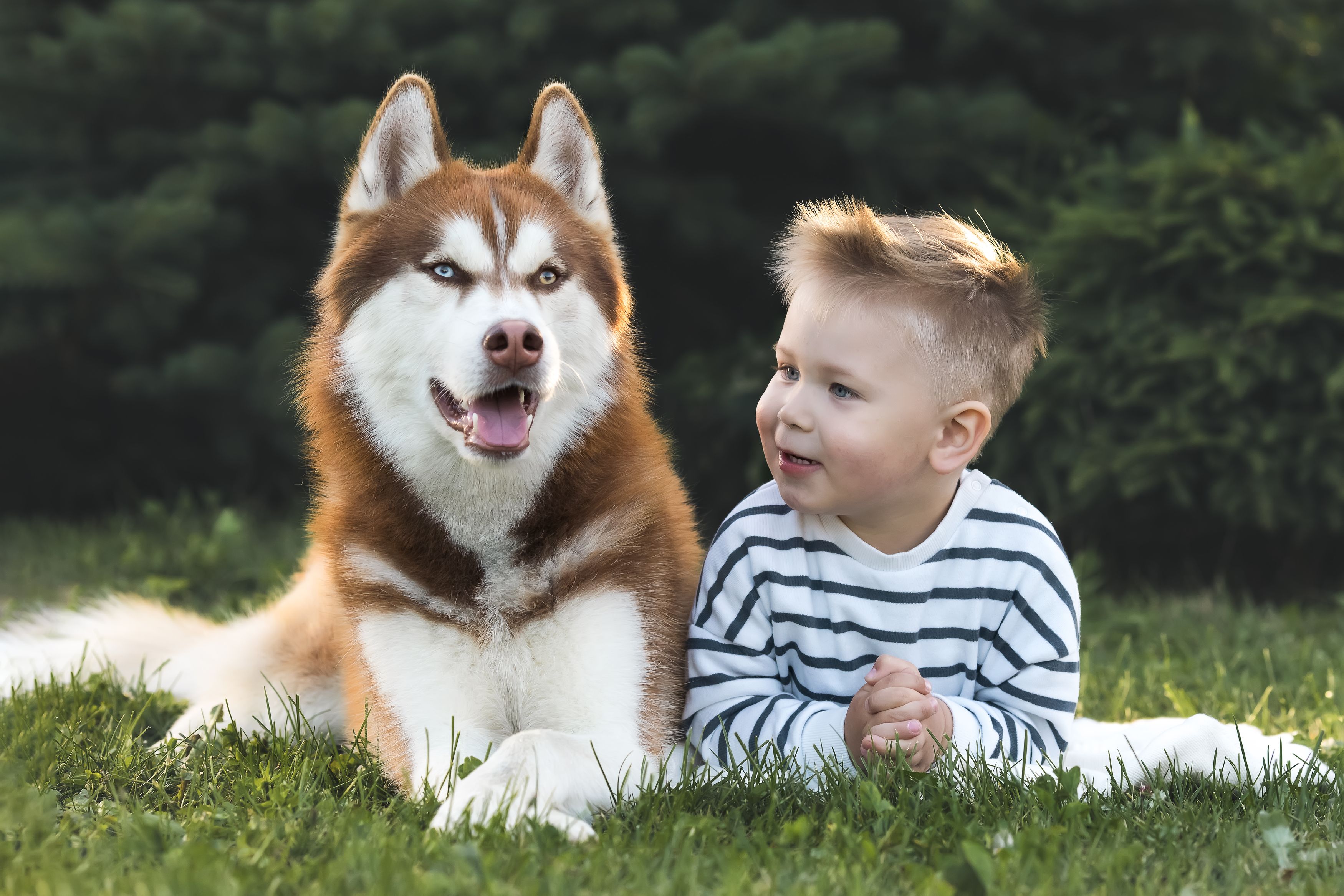 Photograph by Светлана Гущина