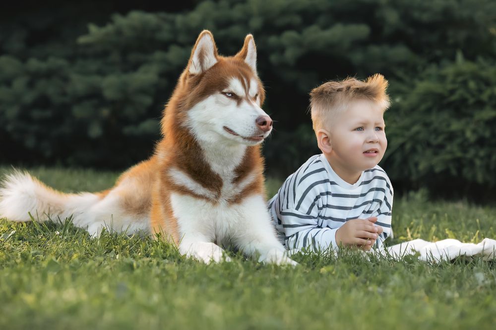 Photograph by Светлана Гущина