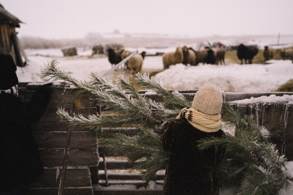 Photograph by Евгения Гунбина