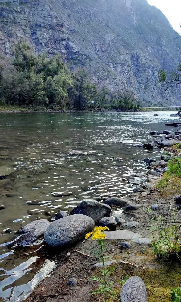 Photograph by Полина Скурская